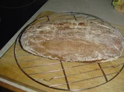 Berliner Landbrot - Rezept