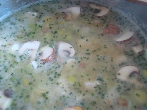 Rezept: cremiges Kartoffelsüppchen mit Huhn Bild Nr. 9 cremiges Kartoffelsüppchen mit Huhn - Rezept - Bild Nr. 9