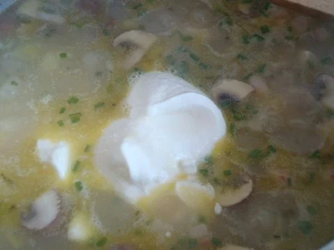 Rezept: cremiges Kartoffelsüppchen mit Huhn Bild Nr. 14 cremiges Kartoffelsüppchen mit Huhn - Rezept - Bild Nr. 14