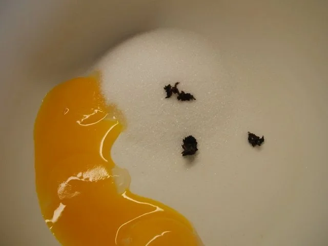 Rezept: Backen: Zweifarbiger Käsekuchen mit Mangosahne ***Happy Birthday, liebe Eva-Maria*** Bild Nr. 7 Backen: Zweifarbiger Käsekuchen mit Mangosahne ***Happy Birthday, liebe Eva-Maria*** - Rezept - Bild Nr. 7