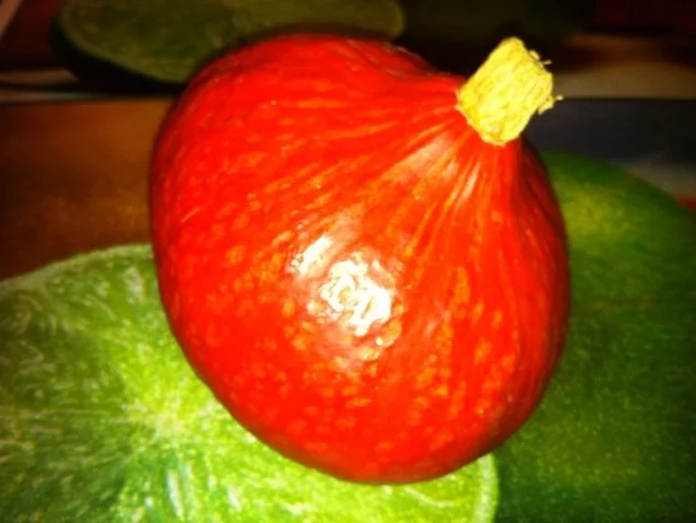 Rezept: Hokkaido Kürbissuppe mit Muskatnuss Hokkaido Kürbissuppe mit Muskatnuss - Rezept