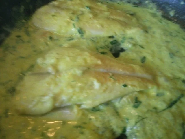 gedünstetes Schollenfilet  in grüner Currysauce - Rezept - Bild Nr. 7