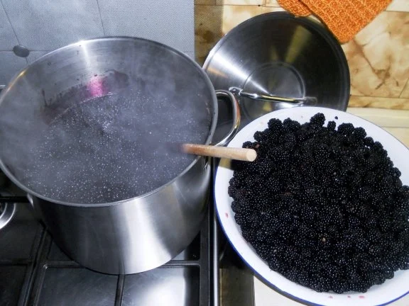 Rezept: "Oma - Friede`s" Holunder - Brombeersaft. Ein kerngesunder Wintervorrat. (Rzpt. um 1930) Bild Nr. 10 "Oma - Friede`s" Holunder - Brombeersaft. Ein kerngesunder Wintervorrat. (Rzpt. um 1930) - Rezept - Bild Nr. 10