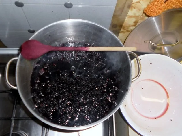 Rezept: "Oma - Friede`s" Holunder - Brombeersaft. Ein kerngesunder Wintervorrat. (Rzpt. um 1930) Bild Nr. 11 "Oma - Friede`s" Holunder - Brombeersaft. Ein kerngesunder Wintervorrat. (Rzpt. um 1930) - Rezept - Bild Nr. 11