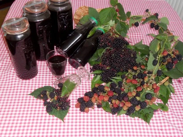 Rezept: "Oma - Friede`s" Holunder - Brombeersaft. Ein kerngesunder Wintervorrat. (Rzpt. um 1930) "Oma - Friede`s" Holunder - Brombeersaft. Ein kerngesunder Wintervorrat. (Rzpt. um 1930) - Rezept