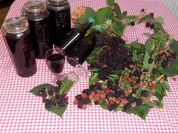 "Oma - Friede`s" Holunder - Brombeersaft. Ein kerngesunder Wintervorrat. (Rzpt. um 1930) - Rezept