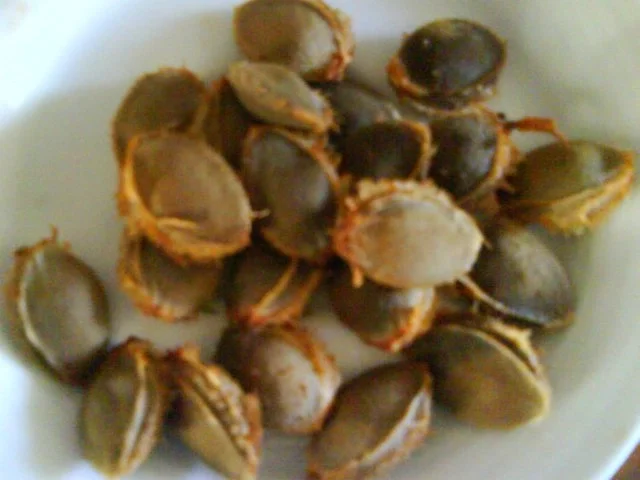 Aprikosen confiture - Rezept - Bild Nr. 2