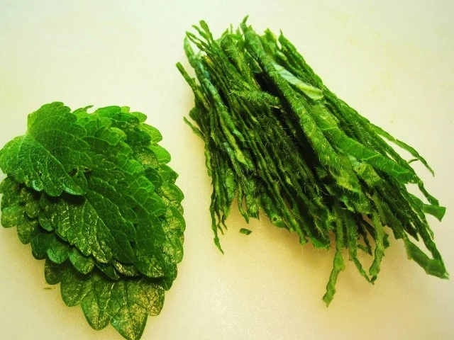 Rheinischer Kräuter-Klatschkäse - Rezept - Bild Nr. 3