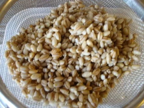 Rezept: "Sarntaler Gerstensuppe" Bild Nr. 3 "Sarntaler Gerstensuppe" - Rezept - Bild Nr. 3