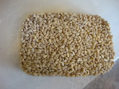 Rezept: "Sarntaler Gerstensuppe" Bild Nr. 2 "Sarntaler Gerstensuppe" - Rezept - Bild Nr. 2