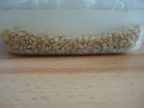 Rezept: "Sarntaler Gerstensuppe" Bild Nr. 4 "Sarntaler Gerstensuppe" - Rezept - Bild Nr. 4