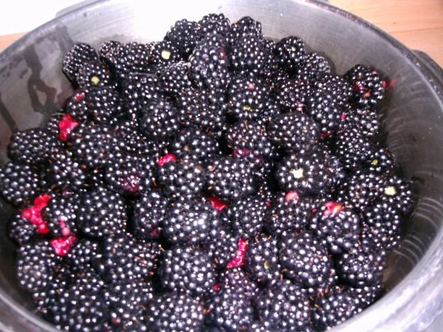 Rezept: Brombeergelee Bild Nr. 3 Brombeergelee - Rezept - Bild Nr. 3