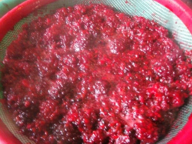 Rezept: Brombeergelee Bild Nr. 6 Brombeergelee - Rezept - Bild Nr. 6