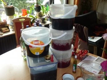 Getränk: Erdbeerlikör - Rezept - Bild Nr. 4