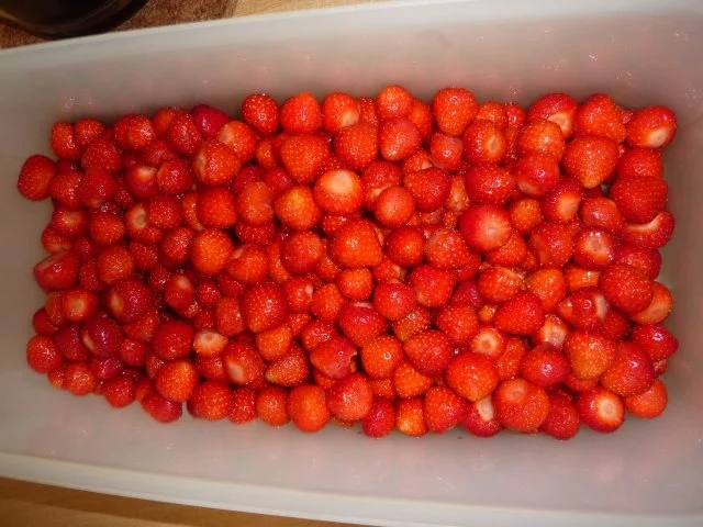 Getränk: Erdbeerlikör - Rezept - Bild Nr. 2