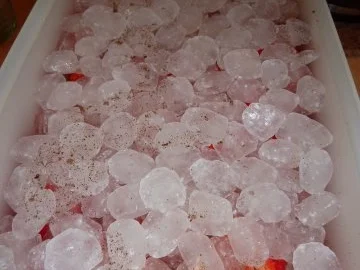 Getränk: Erdbeerlikör - Rezept - Bild Nr. 3