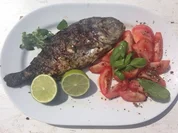 Dorade mit Chili-Petersilien Marinade und Forelle mit Zitronenthymian - Rezept