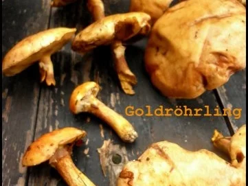 Kirschtomaten-Goldröhrling-Rauke-Mischung mit Polenta und Salzmandeln - Rezept - Bild Nr. 3