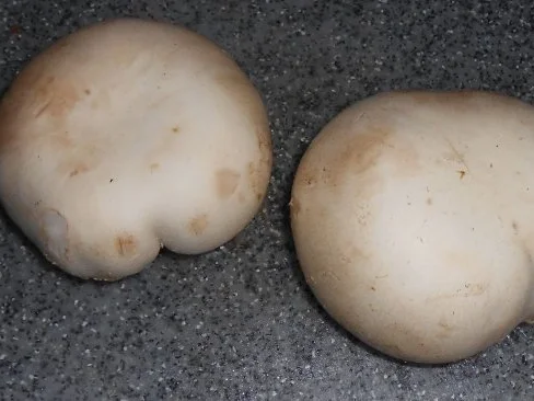 Schnelle Gemüsesuppe - Rezept - Bild Nr. 8