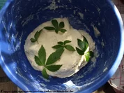 Lederschmiedes Fladenbrot mit Jiaogulan - Rezept