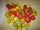 Italienische Tomatensauce - eingekocht - Rezept