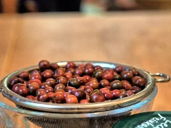 Rezept: Hähnchenbrust mit Roter-Pfeffer-Sauce Bild Nr. 2 Hähnchenbrust mit Roter-Pfeffer-Sauce - Rezept - Bild Nr. 2