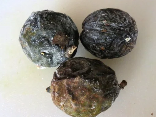 Walnussschnaps Leipnitz - Rezept