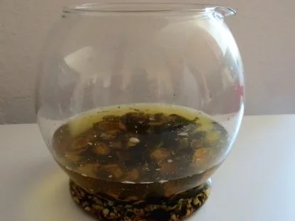 Walnussschnaps Leipnitz - Rezept - Bild Nr. 3