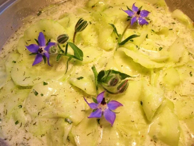 Schlangengurken-Salat - Rezept