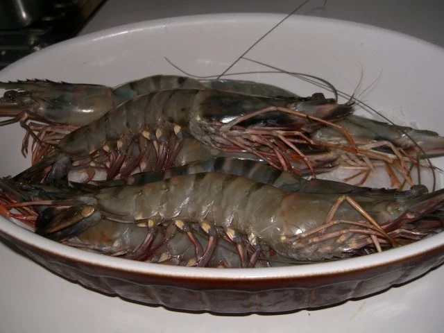 Garnelen vom Grill mit Mango-Salsa und Mango-Curry-Soße - Rezept - Bild Nr. 4