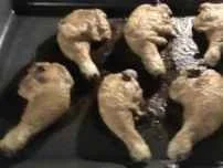 Huhn: Knusprige Keulen mit knackigem Gemüse - Rezept - Bild Nr. 3