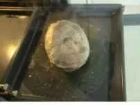 Schwein: Spanferkelkeule mit Rotkohl - Rezept - Bild Nr. 3