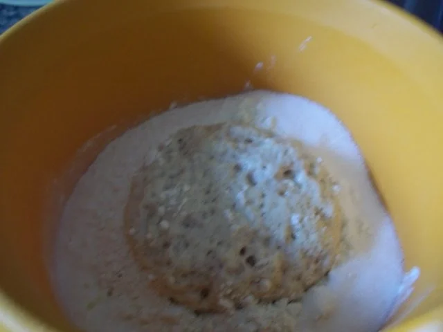 Apfelkuchen vom Blech Nr.2 - Rezept - Bild Nr. 3