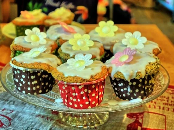 Rezept: Mohn-Zitronen-Muffins Bild Nr. 12 Mohn-Zitronen-Muffins - Rezept - Bild Nr. 12