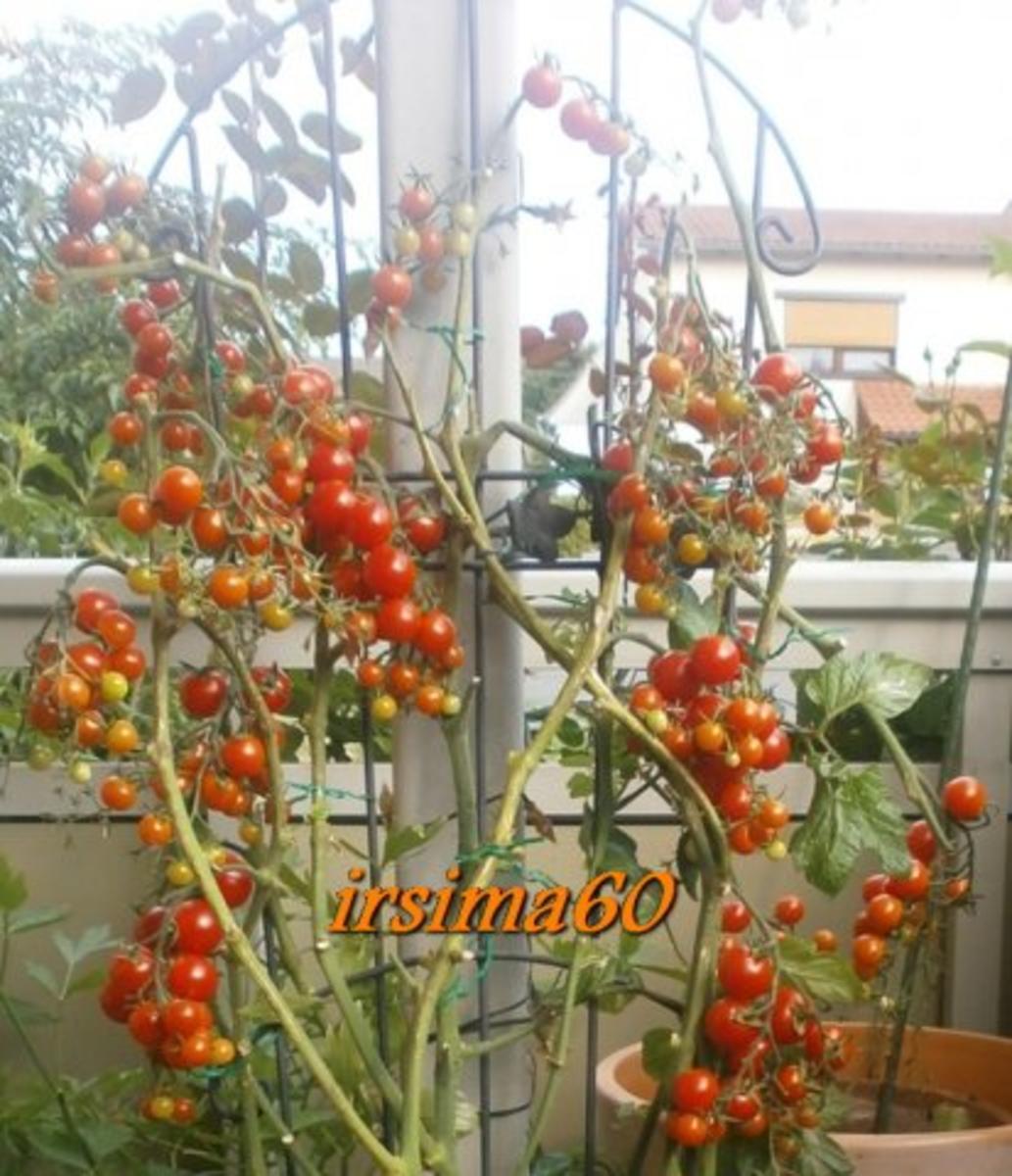 Tomaten - Sahne - Soße - Rezept - Bild Nr. 3