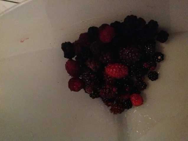 Brombeeren Sirup mit Maulbeeren - auch ohne Maulbeeren möglich - Rezept - Bild Nr. 2