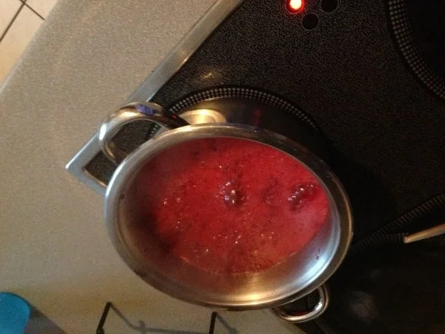 Brombeeren Sirup mit Maulbeeren - auch ohne Maulbeeren möglich - Rezept - Bild Nr. 4