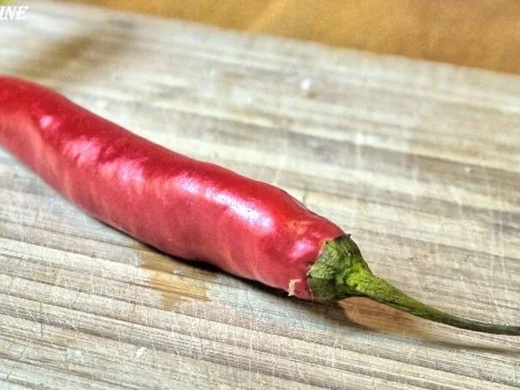 Bun nem nuong - Honigfrikadellen mit Reisnudeln - Rezept - Bild Nr. 6