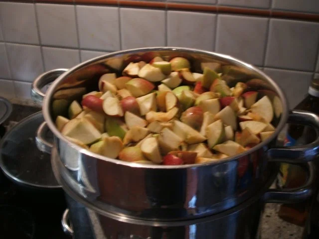 Vorrat: Apfel-Karotten-Saft - Rezept - Bild Nr. 4