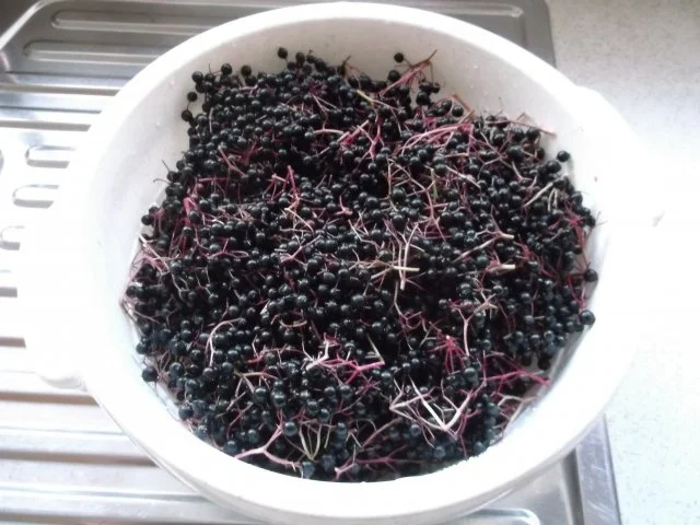 Holunderbeergelee mit Orange,Zimt und Zitrone - Rezept - Bild Nr. 2