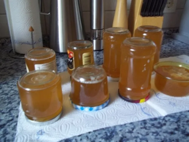 Mirabellen Gelee - Rezept - Bild Nr. 4