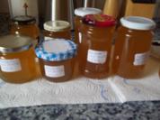 Mirabellen Gelee - Rezept