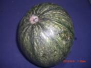 Kürbisgemüse auf meine Art - Rezept