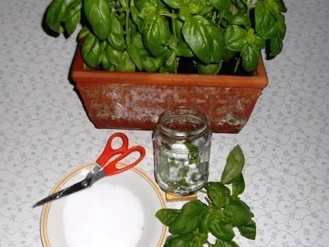 BASILIKUM - SALZ......à la "Oòrndrasch" ( Rzpt. um 2013) - Rezept - Bild Nr. 3