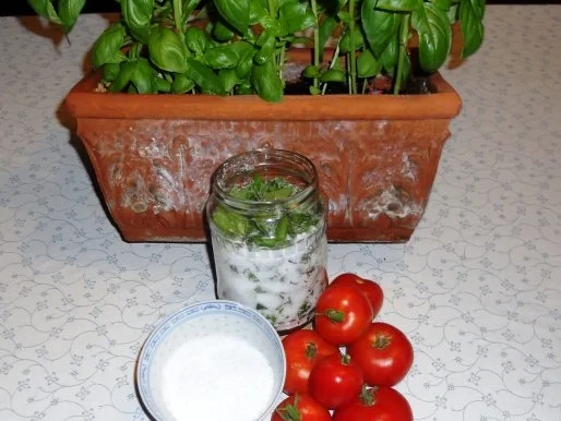 BASILIKUM - SALZ......à la "Oòrndrasch" ( Rzpt. um 2013) - Rezept - Bild Nr. 6