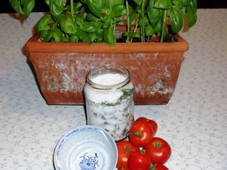 BASILIKUM - SALZ......à la "Oòrndrasch" ( Rzpt. um 2013) - Rezept - Bild Nr. 7