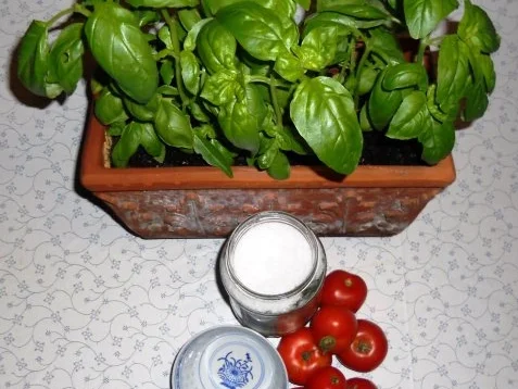 BASILIKUM - SALZ......à la "Oòrndrasch" ( Rzpt. um 2013) - Rezept - Bild Nr. 8