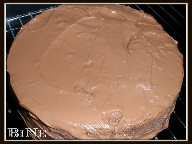 BiNe` S SCHOKOLADENKUCHEN - Rezept - Bild Nr. 7