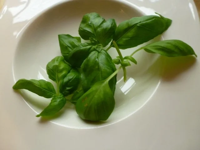 Knoblauch-Spaghetti leicht verschärft - Rezept - Bild Nr. 4