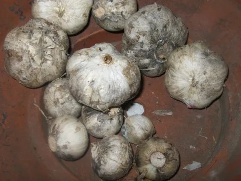 Knoblauch-Spaghetti leicht verschärft - Rezept - Bild Nr. 3